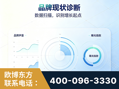 乐清-品牌现状诊断