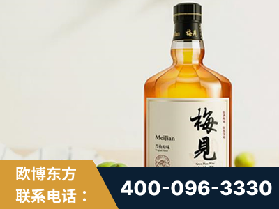 乐清-梅见青梅酒
